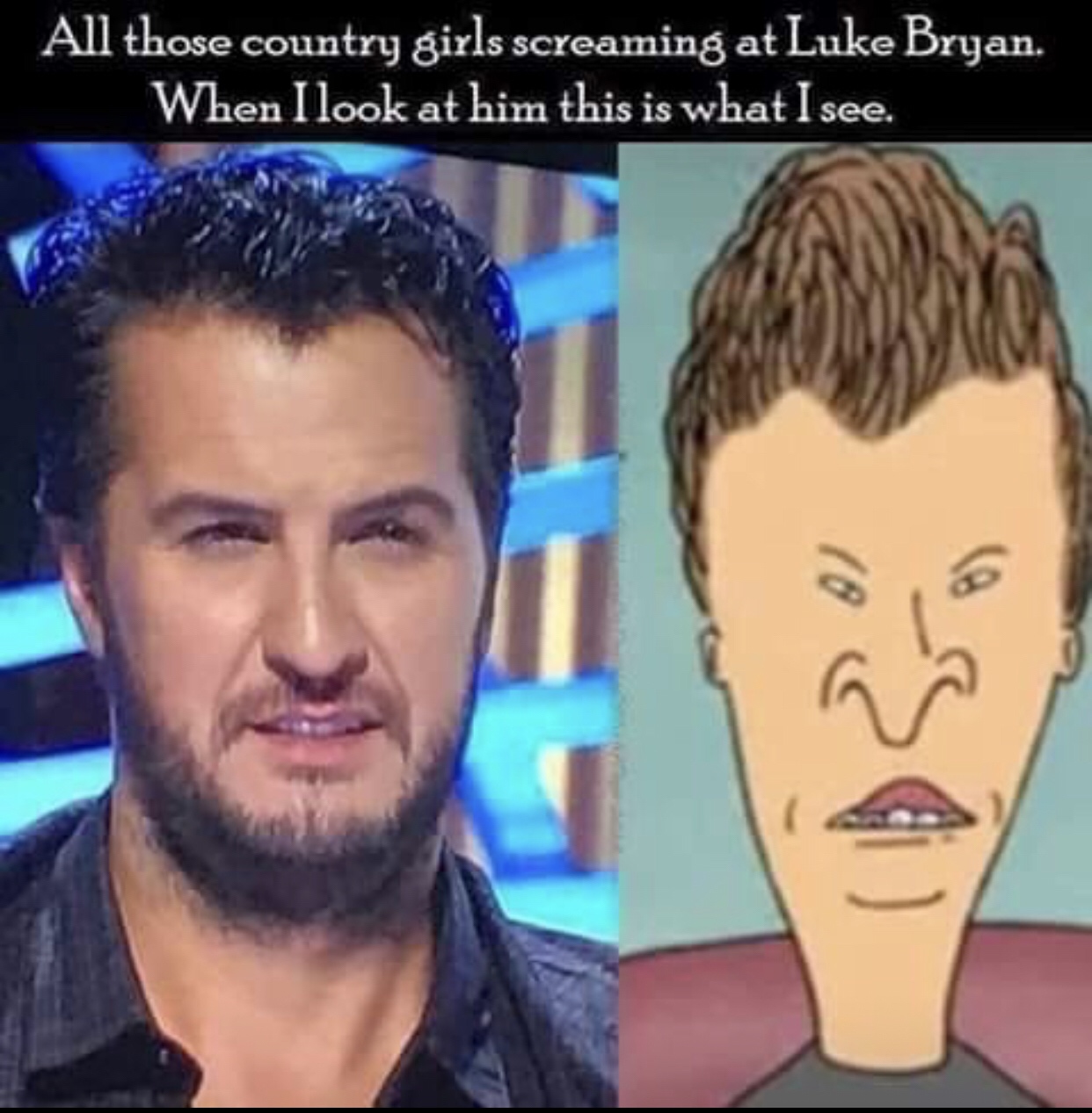 luke bryan beavis and butthead - All those country girls screaming at Luke Bryan. When I look at him this is what I see.