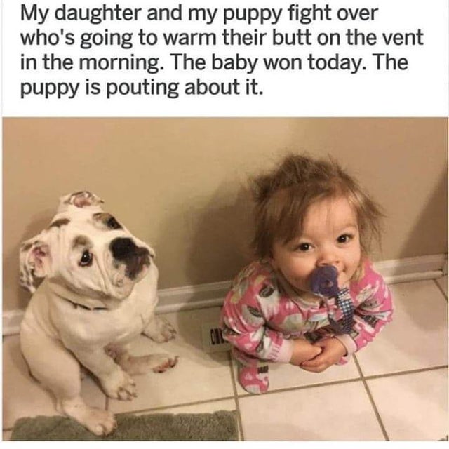 baby girl dog - My daughter and my puppy fight over who's going to warm their butt on the vent in the morning. The baby won today. The puppy is pouting about it.