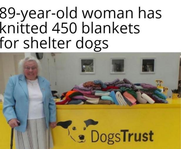 maisie green dogs trust - 89yearold woman has knitted 450 blankets for shelter dogs DogsTrust