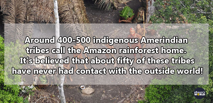 uncontacted tribes - Around 400500 indigenous Amerindian tribes call the Amazon rainforest home. It's believed that about fifty of these tribes have never had contact with the outside world!