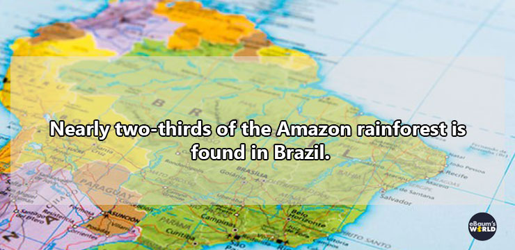 water resources - Nearly twothirds of the Amazon rainforest is found in Brazil. Paraguay Aguar