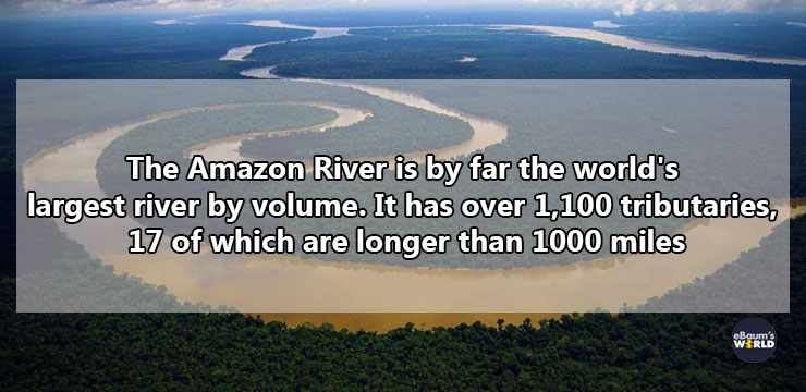 The Amazon River is by far the world's largest river by volume. It has over 1,100 tributaries, 17 of which are longer than 1000 miles Series