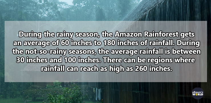 sweet love quotes - During the rainy season, the Amazon Rainforest gets an average of 60 inches to 180 inches of rainfall. During the notsorainy seasons, the average rainfall is between 30 inches and 100 inches. There can be regions where rainfall can rea
