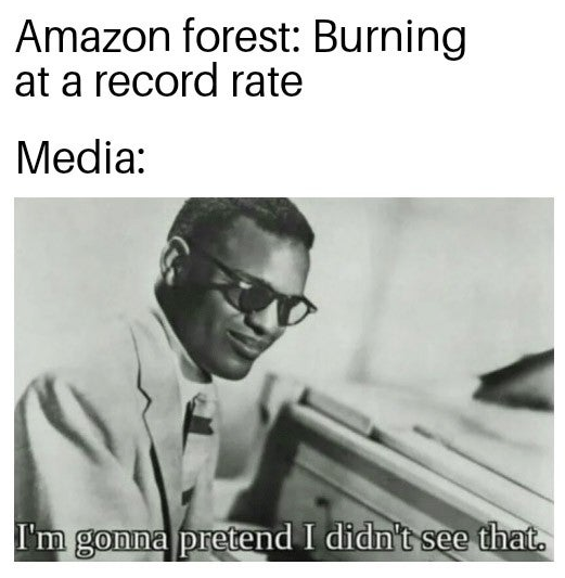 Amazon Rainforest - gonna pretend i don t see - Amazon forest Burning at a record rate Media I'm gonna pretend I didn't see that.