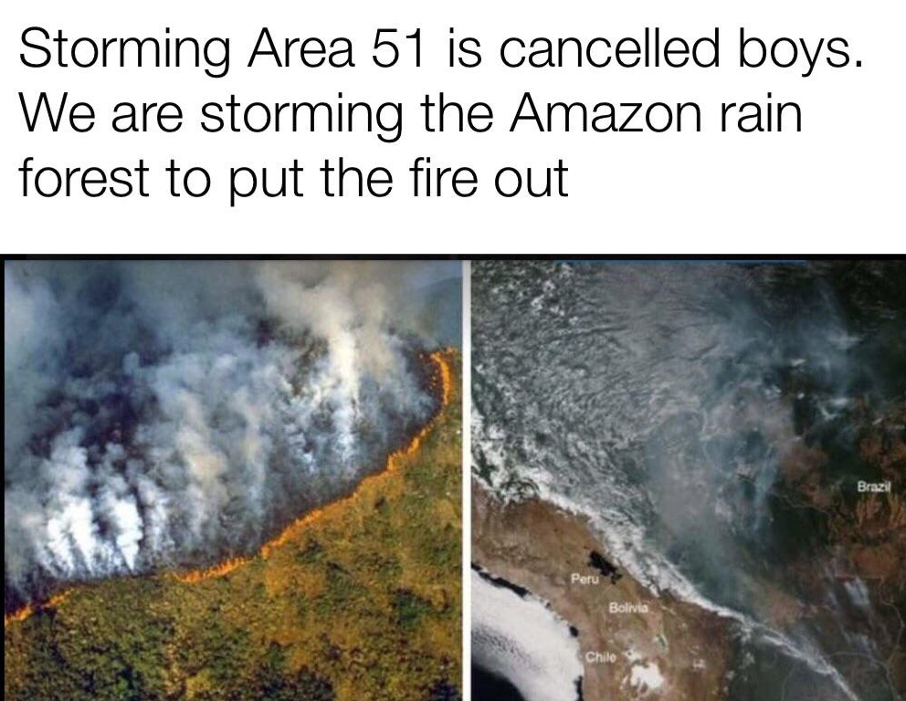 Amazon Rainforest - deforestation in the amazon rainforest - Storming Area 51 is cancelled boys. We are storming the Amazon rain forest to put the fire out Brazil Bolnie