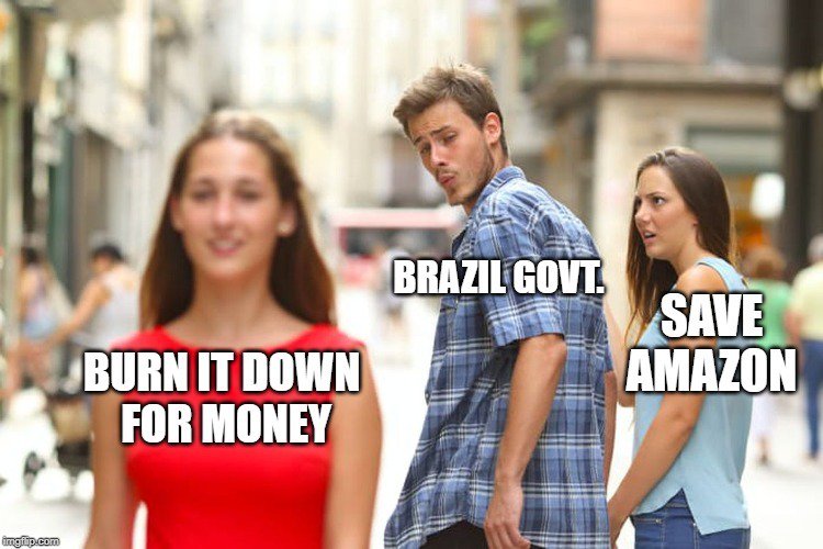 Amazon Rainforest - distracted boyfriend meme - Brazil Govt. Save Amazon Burn It Down For Money Ingi.com