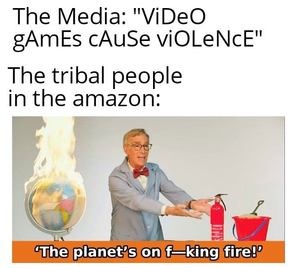 Amazon Rainforest - human behavior - The Media - Video games cause violence