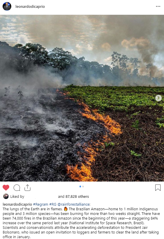 Amazon Rainforest - water resources - Leonardo DiCaprio - The lungs of the Earth are in fames The Brasian Amazon home to 1 million genous people and 3 mon species has been burning for more than two weeks a t Therehe been 7