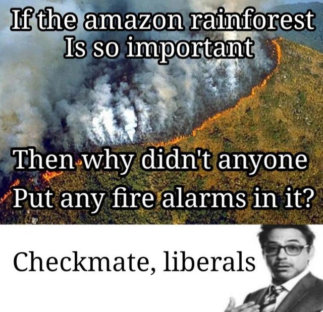 Amazon Rainforest - amazon rainforest burning - If the amazon rainforest Is so important Then why didn't anyone Put any fire alarms in it? Checkmate, liberals