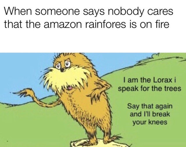 Amazon Rainforest - lorax meme - When someone says nobody cares that the amazon rainfores is on fire I am the Lorax i speak for the trees Say that again and I'll break your knees