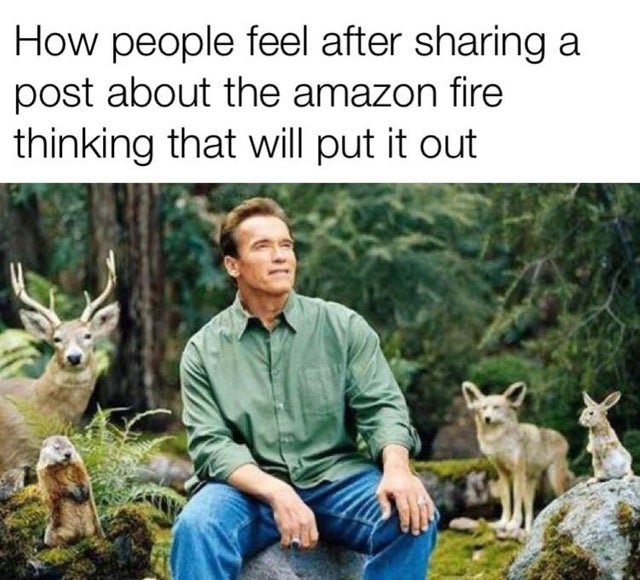 Amazon Rainforest - How people feel after sharing a post about the amazon fire thinking that will put it out