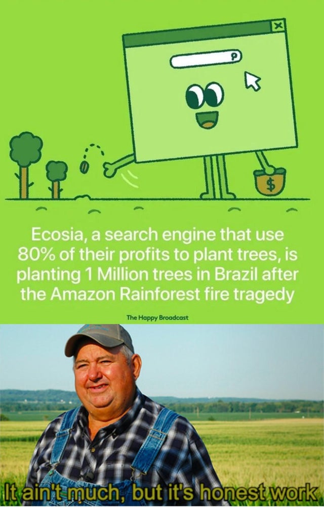 Amazon Rainforest - aint much but it's honest work - Ecosia, a search engine that use 80% of their profits to plant trees, is planting 1 Million trees in Brazil after the Amazon Rainforest fire tragedy The Happy Broadcast It ain't much, but it's honest wo