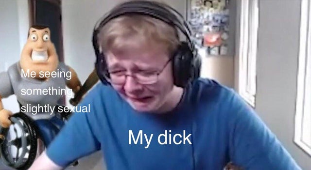 Meme - Me seeing something slightly sexual My dick