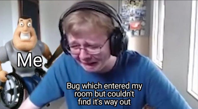 Meme - 1a Me Bug which entered my room but couldn't find it's way out