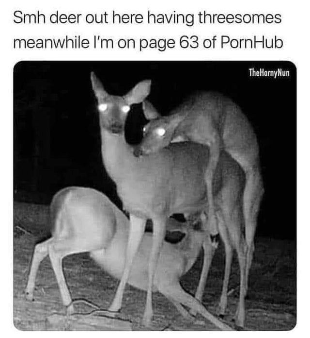 deer out here having threesome - Smh deer out here having threesomes meanwhile I'm on page 63 of PornHub TheHorny Nun