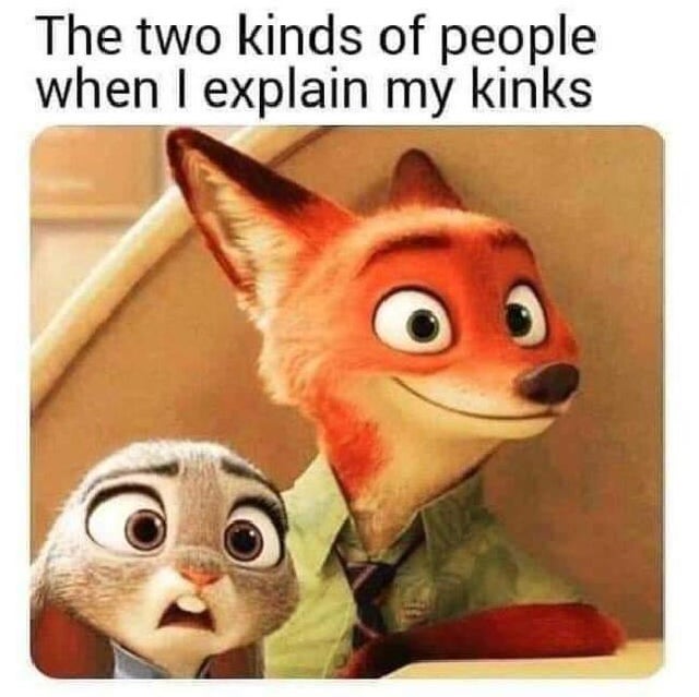 funny dumb memes - The two kinds of people when I explain my kinks