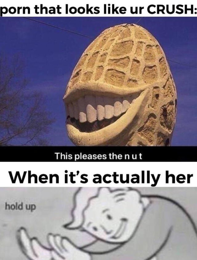 meme this pleases the nut - porn that looks ur Crush This pleases the nut When it's actually her hold up