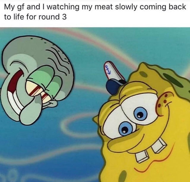 funny hilarious dank memes - My gf and I watching my meat slowly coming back to life for round 3