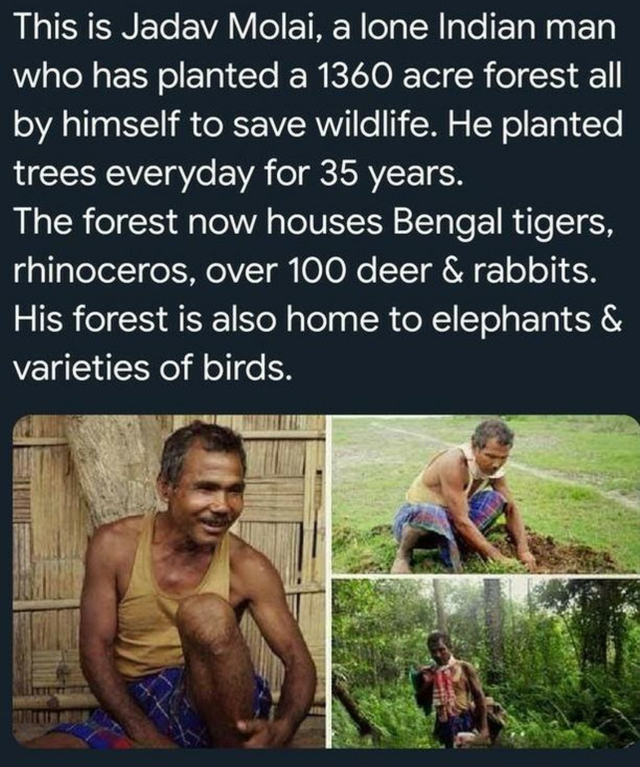 wholesome memes - lyrics - This is Jadav Molai, a lone Indian man who has planted a 1360 acre forest all by himself to save wildlife. He planted trees everyday for 35 years. The forest now houses Bengal tigers, rhinoceros, over 100 deer & rabbits. His for