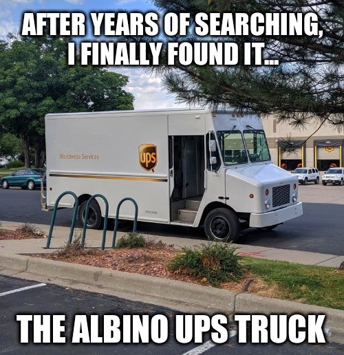 thought you were never coming - After Years Of Searching, I Finally Found It. Worldwide Services The Albino Ups Truck