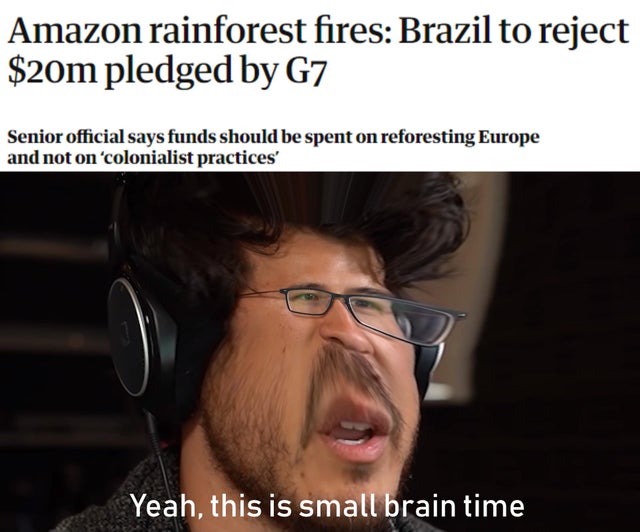 Small brain time - meme - Amazon Rainforest burning.
