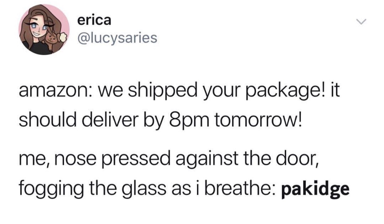 quotes - erica amazon we shipped your package! it should deliver by 8pm tomorrow! me, nose pressed against the door, fogging the glass as i breathe pakidge