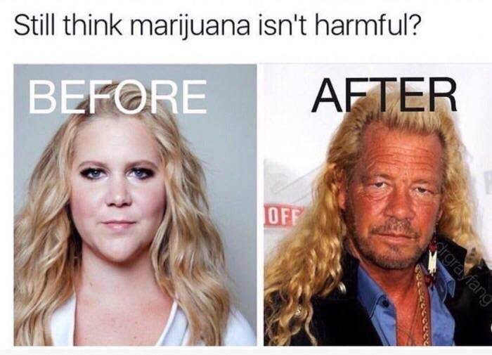 before and after 1 marijuana - Still think marijuana isn't harmful? Before After Off drgraytang