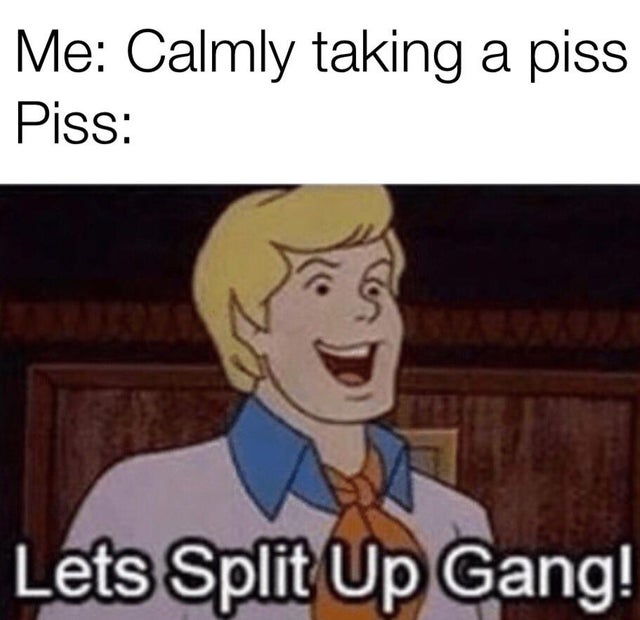 Meme - Me Calmly taking a piss Piss Lets Split Up Gang!