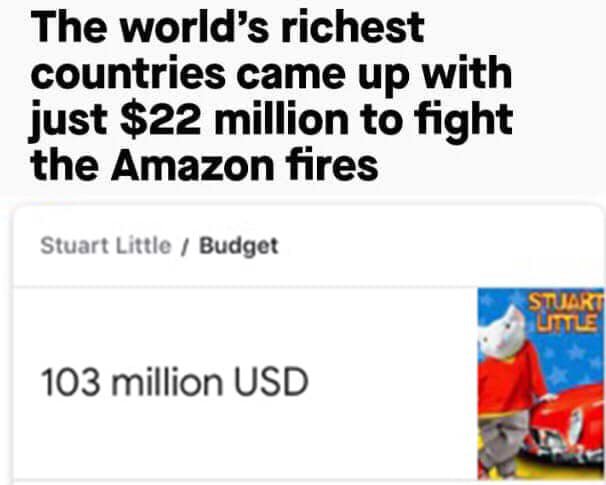 Meme - The world's richest countries came up with just $22 million to fight the Amazon fires Stuart Little Budget 103 million Usd