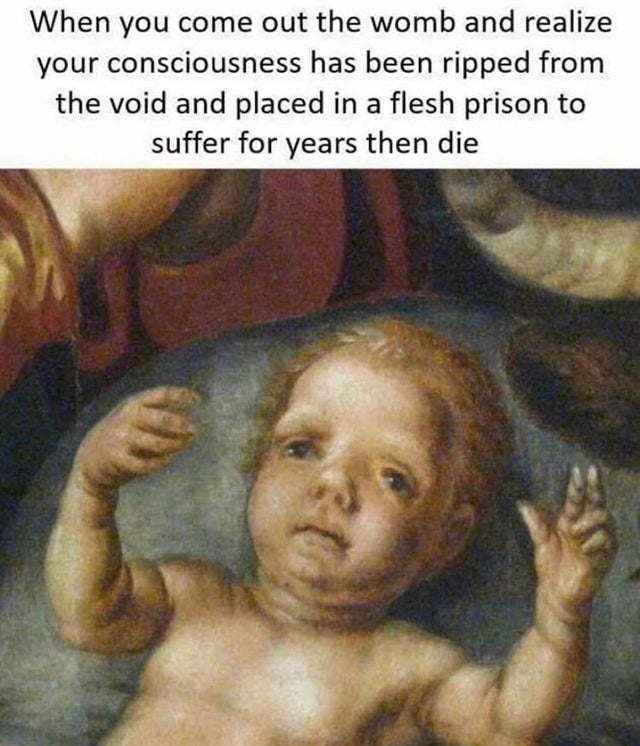 history memes - When you come out the womb and realize your consciousness has been ripped from the void and placed in a flesh prison to suffer for years then die