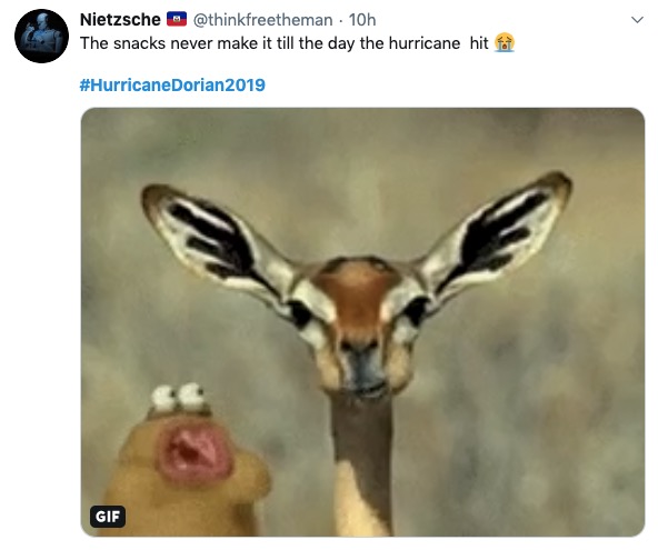Hurricane Dorian meme - nom nom nom deer - Nietzsche 10h The snacks never make it till the day the hurricane hit at Gif