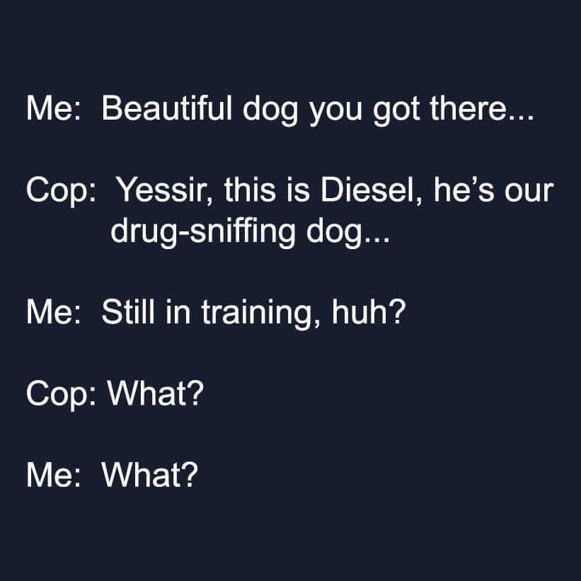 beautiful you - Me Beautiful dog you got there... Cop Yessir, this is Diesel, he's our drugsniffing dog... Me Still in training, huh? Cop What? Me What?