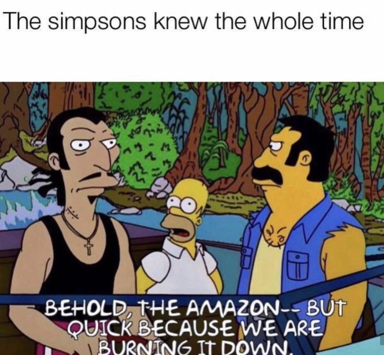 The Simpsons - The simpsons knew the whole time Behold, The Amazon But Quick Because We Are Burning It Down.