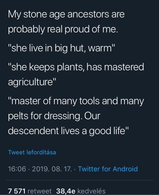 sky - My stone age ancestors are probably real proud of me. "she live in big hut, warm" "she keeps plants, has mastered agriculture" "master of many tools and many pelts for dressing. Our descendent lives a good life" Tweet lefordtsa 2019. 08. 17. Twitter