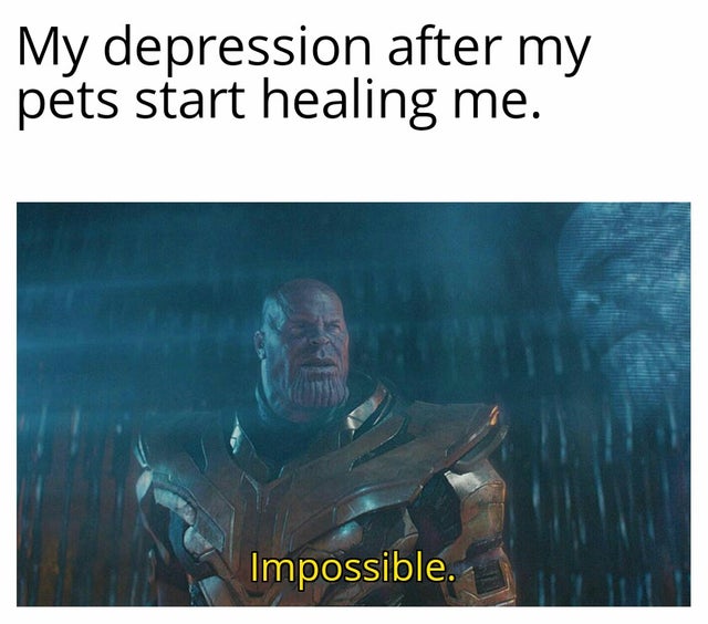 impossible thanosmeme - My depression after my pets start healing me. Impossible.