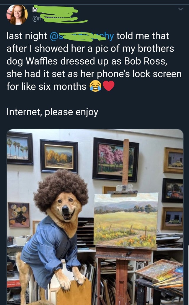 Bob Ross - last night @ s pechy told me that after I showed her a pic of my brothers dog Waffles dressed up as Bob Ross, she had it set as her phone's lock screen for six months Internet, please enjoy