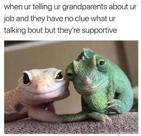 your grandparents meme - when ur telling ur grandparents about ur job and they have no clue what ur talking bout but they're supportive