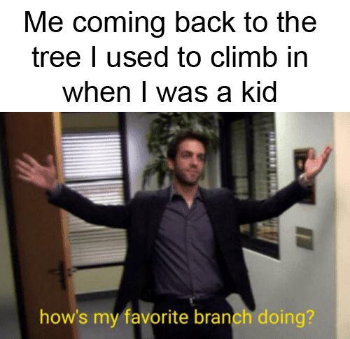 hows my favorite branch doing vegan - Me coming back to the tree I used to climb in when I was a kid how's my favorite branch doing?