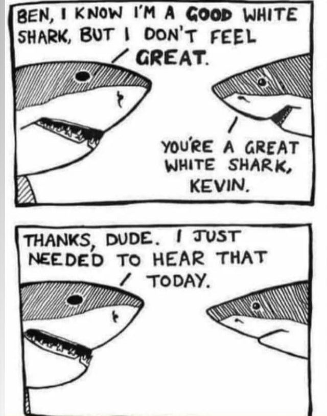 you are a great white shark - Ben, I Know I'M A Good White Shark, But I Don'T Feel Great. You'Re A Great White Shark, Kevin Thanks, Dude. I Just Needed To Hear That Today.