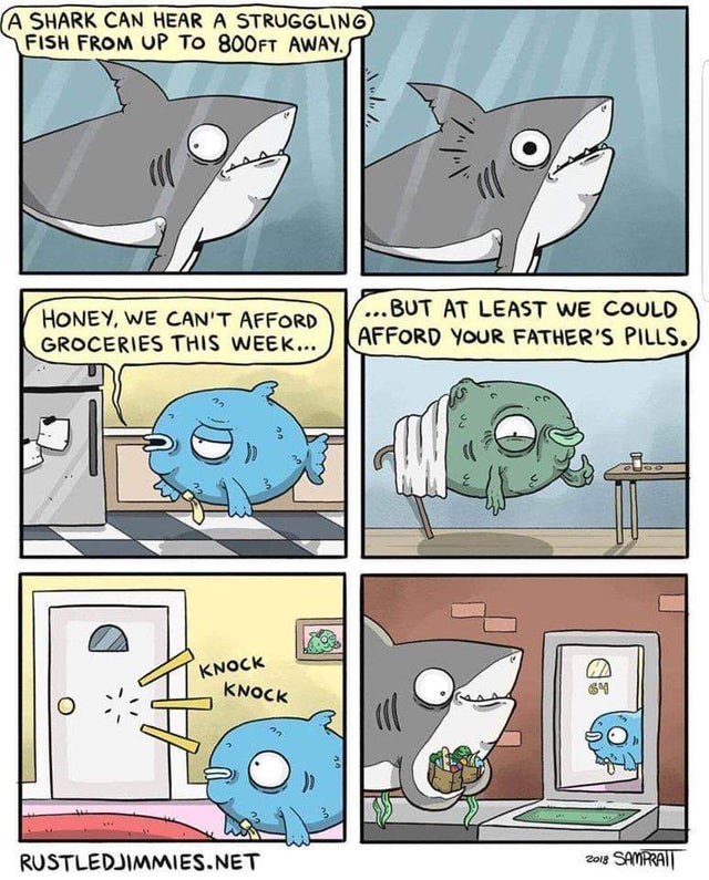 shark comics - A Shark Can Hear A Struggling Fish From Up To 800FT Away.S Honey, We Can'T Afford Groceries This Week... ...But At Least We Could Afford Your Father'S Pills. mas Knock Knock Rustledjimmies.Net 2018 Sampai
