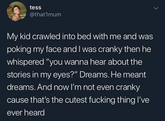 tess My kid crawled into bed with me and was poking my face and I was cranky then he whispered "you wanna hear about the stories in my eyes?" Dreams. He meant dreams. And now I'm not even cranky cause that's the cutest fucking thing I've ever heard