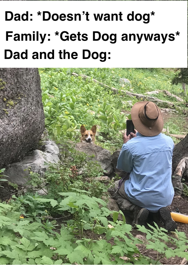 nature reserve - Dad Doesn't want dog Family Gets Dog anyways Dad and the Dog