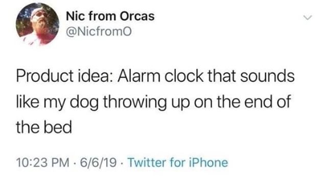 jamie giellis tweets - Nic from Orcas Product idea Alarm clock that sounds my dog throwing up on the end of the bed 6619. Twitter for iPhone