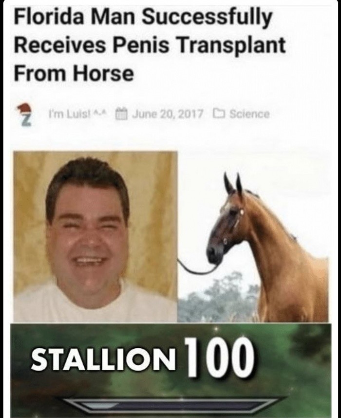 man with horse penis transplant - Florida Man Successfully Receives Penis Transplant From Horse I'm Luisia th Science Stallion 100