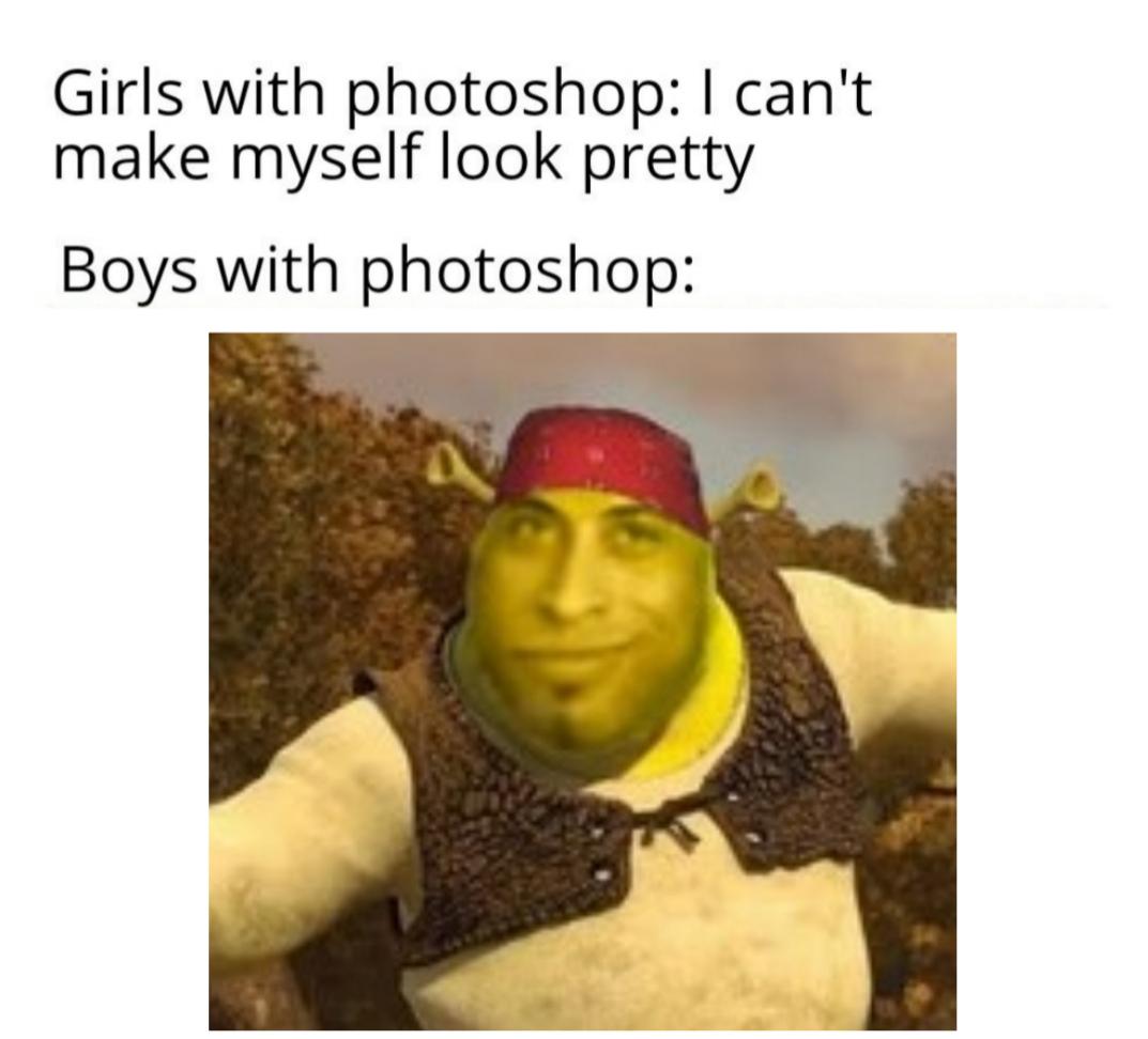 meme - shrek benson - Girls with photoshop I can't make myself look pretty Boys with photoshop