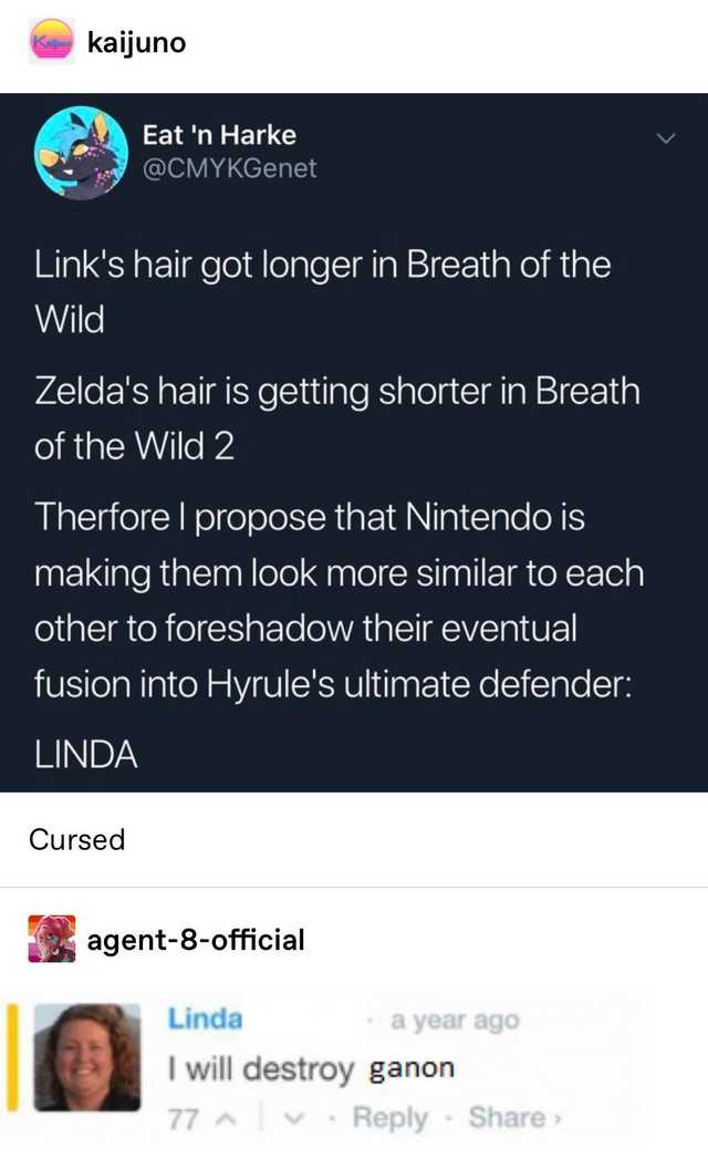 zelda meme - biblegirl tyra sanchez - kaijuno Eat 'n Harke Link's hair got longer in Breath of the Wild Zelda's hair is getting shorter in Breath of the Wild 2 Therfore I propose that Nintendo is making them look more similar to each other to foreshadow t