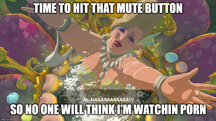zelda meme - meme - Time To Hit That Mute Button hHaaaaaaaaaaa!!! So No One Will Think I'M Watchin Porn imgflip.com