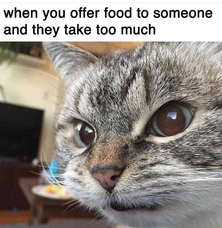 angy kitty - when you offer food to someone and they take too much