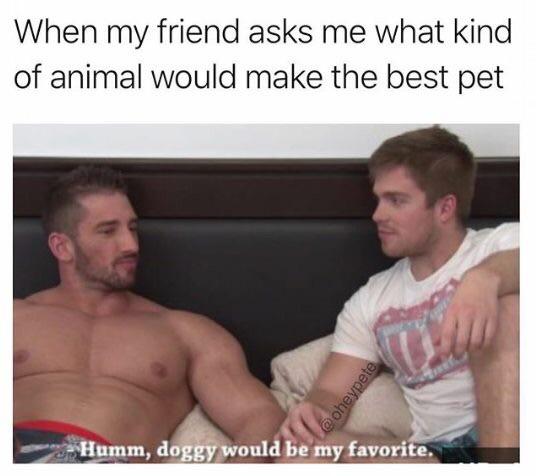 sfw porn meme - photo caption - When my friend asks me what kind of animal would make the best pet Humm, doggy would be my favorite,