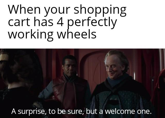 meme - photo caption - When your shopping cart has 4 perfectly working wheels A surprise, to be sure, but a welcome one.